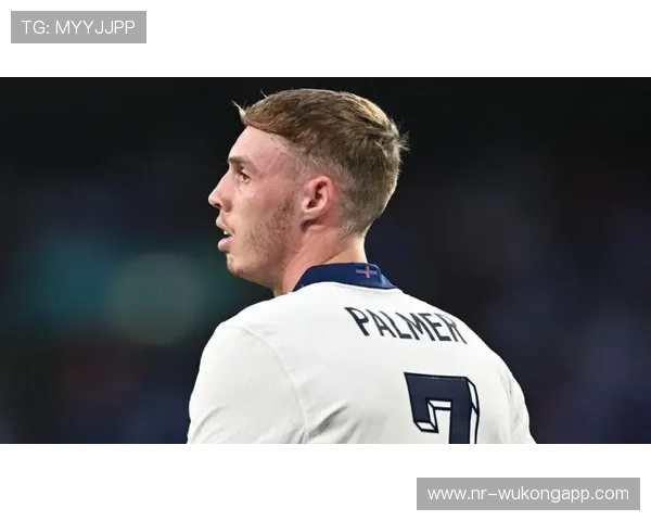 帕尔默是否依赖战术自由度