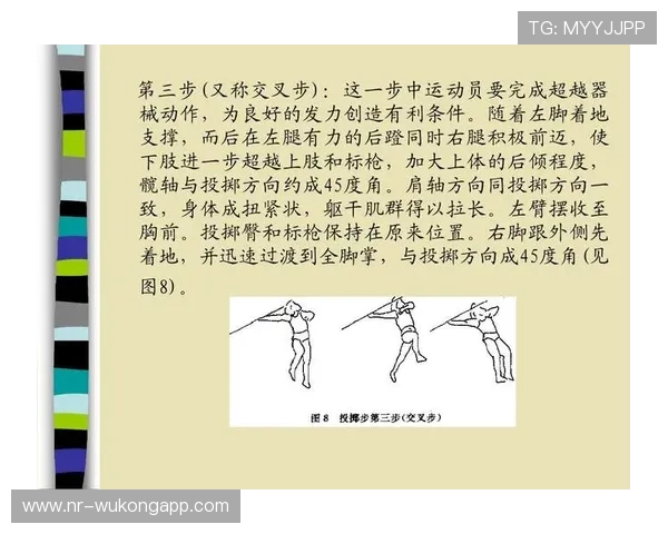 掷界外球规则：有效姿势、非法动作与重掷判罚要点