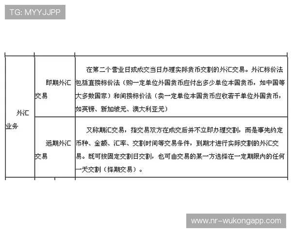 垂直起跳规则的基本要点与常见误区解析