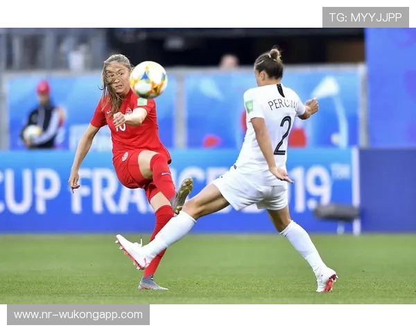 2026世界杯新西兰队阵容预测:中超旧将领衔或成大洋洲黑马